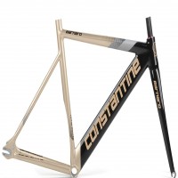 51 / gold-black