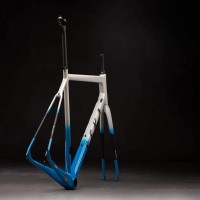 S / Blue-whie