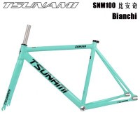 S49 / Bianchi