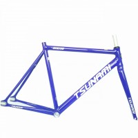 L54 / Purple