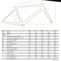 Sepeda Road Bike Full Bike Pardus SL - Campagnolo Centaur