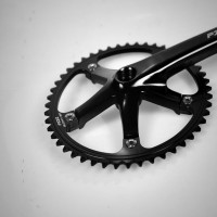 Pizz Crank 48T BCD 144 arm 170