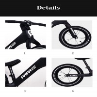 Push Bike Papa Bike Tipe Flash Full Bike