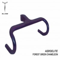 Forest Green Chameleon / 